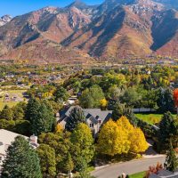 2121316_90957b830a0e7b93e30f684504e3e54e_690237bd4ac0f