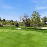 2150891_1decd013baea41b254342cfd96d8d2ff_69dfad708138b