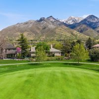 2150891_d5a8deb6d75f22b769ba9a9f9c44d074_69dfad724e650