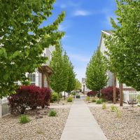 2151430_9a6ed3f8c649ff30bbac51a855a5e672_69e2306a764d8