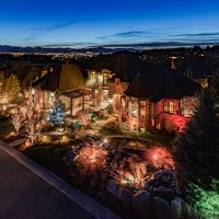 Snow Forest Nighttime Exterior